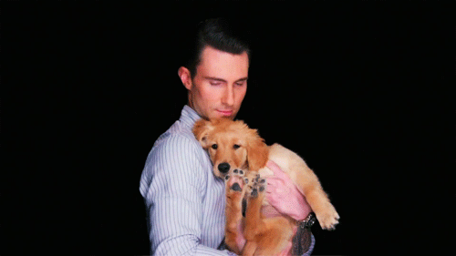 celebrities-with-puppies-adam-levine