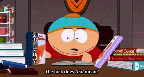 the fuck does that mean